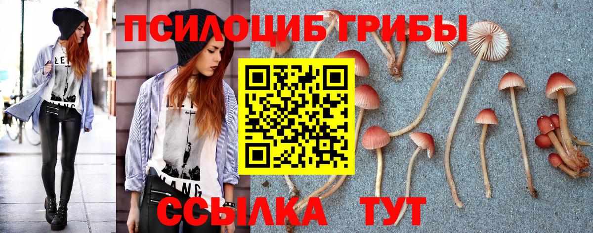 Галлюциногенные грибы Magic Shrooms  Псилоцибиновые грибы Magic Shrooms  Вход с VPN  Владимир 