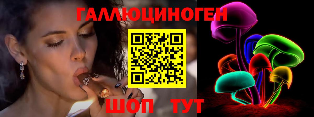 Псилоцибиновые грибы мицелий Владимир