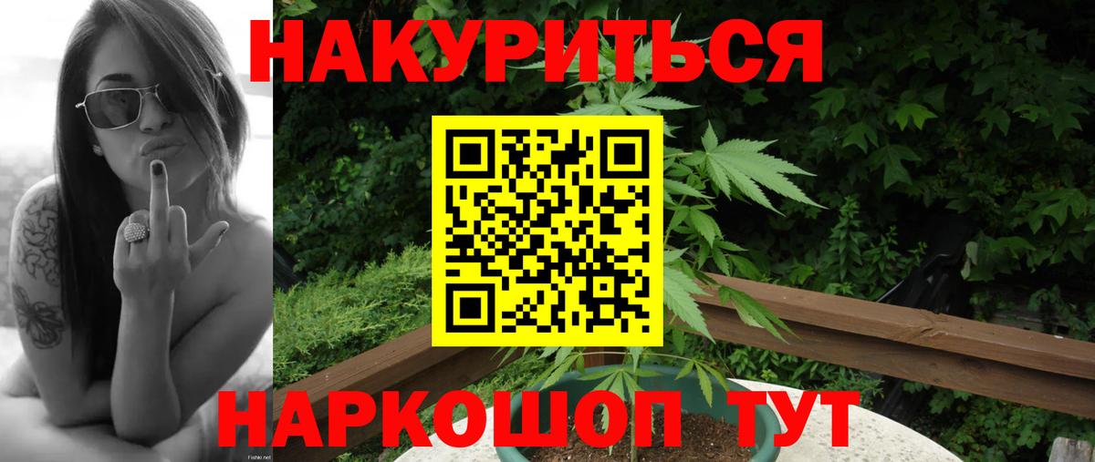 Конопля план Владимир